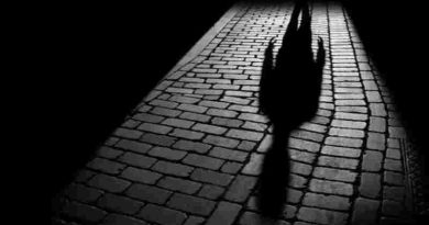 Analizando la sombra oprobiosa del delator