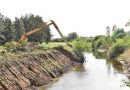Medio ambiente: Con 1500 toneladas de basura menos, el arroyo Ludueña se revitaliza