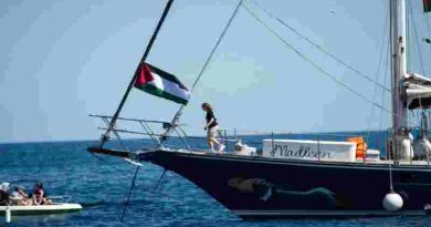 Greta Thunberg viaja en flotilla rumbo a Gaza y un senador de EE.UU. lanza una frase que generó polémica