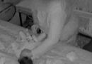 Córdoba: Detuvieron a una niñera acusada de maltratar a un bebé de 7 meses