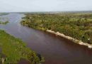 La provincia avanza en la protección de sus humedales
