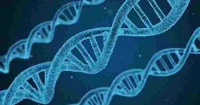 La genética se consolida como la llave para la prevención de enfermedades crónicas