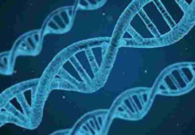 El ADN, una brújula genética que orienta a la ciencia y la toma de decisiones