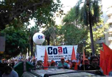 Docentes de la UNR se suman a la marcha por la salud pública