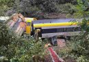 Alemania: Un tren descarriló en el sur del país, dejó el saldo de 3 muertos y varios heridos