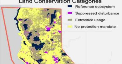 Científicos de Estados Unidos usan datos satelitales para evaluar la recuperación de bosques tras incendios