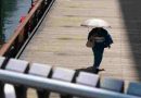 Japón registró la temperatura más alta de su historia