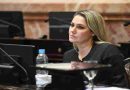¿Ambiguedad moral?: Losada aclaró que su voto fue “un gesto testimonial”
