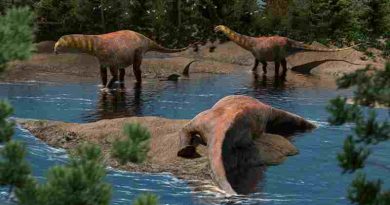 Neuquén: Descubren una nueva especie de dinosaurio que vivió hace 95 millones de años