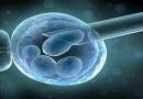 Una nueva inteligencia artificial predice la calidad de los óvulos y es más precisa que los médicos