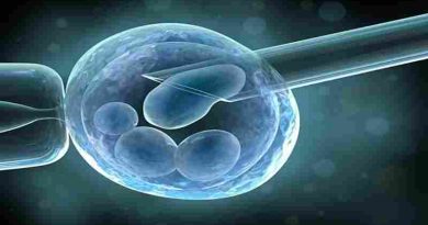Una nueva inteligencia artificial predice la calidad de los óvulos y es más precisa que los médicos