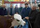 Santa Fe mostrará su potencia productiva, tecnológica y gastronómica en la Expo Rural de Palermo