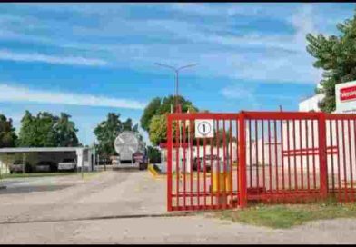 Lácteos Verónica fue al concurso de acreedores para evitar la quiebra