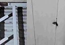 En zona sur, sicarios hicieron blanco en una casa y un auto estacionado