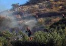 Bolivia declaró “Situación de Emergencia Nacional” por incendios
