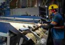 Brasil: La economía generó más de 1,34 millones de nuevos empleos formales entre enero y julio de 2025