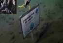 “Gracias por el apoyo”: el cartel de los científicos del Conicet en el fondo del mar que emocionó a todos
