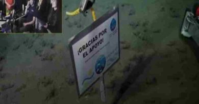 “Gracias por el apoyo”: el cartel de los científicos del Conicet en el fondo del mar que emocionó a todos