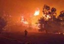 Francia: Un incendio forestal arrasó más de 16.000 hectáreas en el sur del país