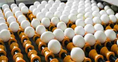 Huevos que rompen la calma en Estados Unidos por un brote de salmonela