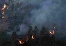 España: El gobierno dará ayuda a las zonas afectadas por incendios forestales