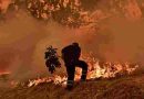 Estados Unidos: El oeste del país está azotado por incendios forestales