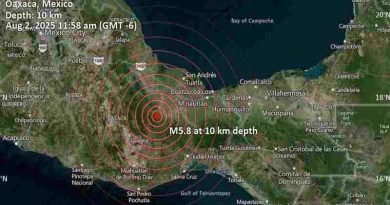 México: Sismo de magnitud 5,9 sacudió el sur del país