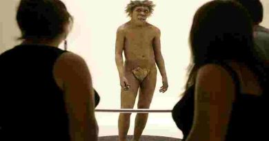 El hallazgo que reescribe la historia: Encontraron el primer hijo de un neandertal y un humano moderno