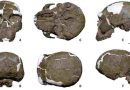 China: Hallan un cráneo de hace un millón de años que reescribe la cronología de evolución humana