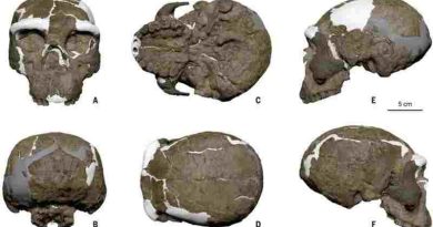 China: Hallan un cráneo de hace un millón de años que reescribe la cronología de evolución humana