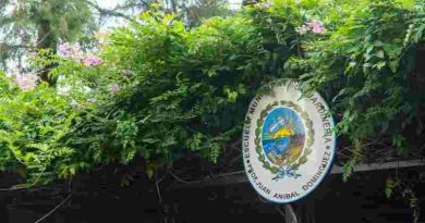 Escuela Municipal de Jardinería: Últimos días para inscribirse al ciclo 2026
