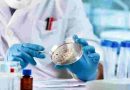 Científicos argentinos lograron visualizar con IA neurorreceptores vinculados a enfermedades neurológicas