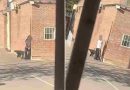 Adolescente atrincherada en Mendoza: Las hipótesis de que sufría bullying y que una profesora que la desaprobó