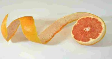 El potente truco de licuar cáscara de pomelo y alcohol etílico para purificar la casa