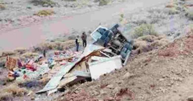 Tragedia en Neuquén: Un camionero murió tras volcar y caer por un barranco en la Ruta 227