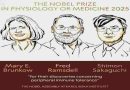 El premio Nobel de Medicina 2025 fue otorgado a Mary E. Brunkow, Fred Ramsdell y Shimon Sakaguchi