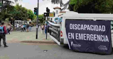 Tensión en la ANDIS: Familiares ingresaron al edificio y pedían abrir un canal de diálogo con autoridades