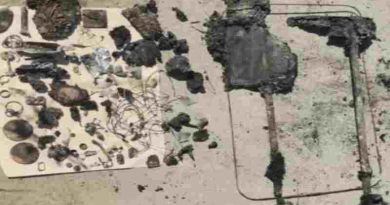 Caso Cecilia Strzyzowski: Una perito y un bombero, las declaraciones claves en el juicio contra el Clan Sena