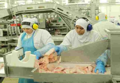 Tambalea la actividad de la mayor productora de pollos de la Argentina