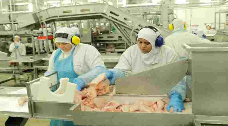 Tambalea la actividad de la mayor productora de pollos de la Argentina