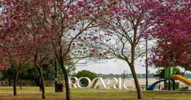 El fin de semana largo comenzará con tormentas, pero culminará con jornadas agradables para disfrutar al aire libre