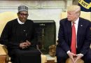 Tensión internacional: Trump amenaza con un “ataque militar” a Nigeria por supuesta persecución a cristianos