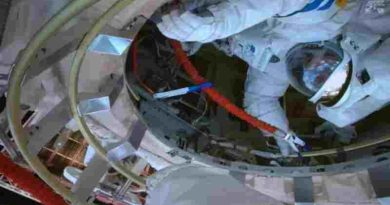 Un ratón dio a luz tras una misión espacial y abre nuevas perspectivas para la ciencia