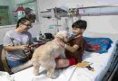 Con Cala y Zafira, comenzó la prueba piloto de ingreso de animales de compañía en el Hospital Vilela