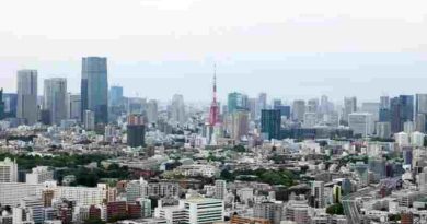 Japón: Jornadas de manifestacióncontra el plan que busca flexibilizar la exportación de armas