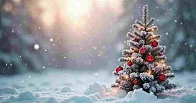 Navidad, tiempo y carne: Una reflexión filosófica sobre interrupción, encarnación y cuidado