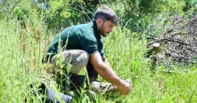 Medio ambiente: Se concretó en Santa Fe la reinserción de Ricardito, el yacaré que pasó más de 10 años en el Instituto Malbrán