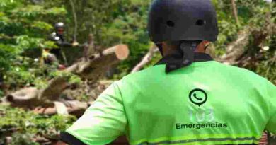 Tormenta en Rosario: Se registraron ráfagas de hasta 67 km/h y 46 mm de lluvia, y se renovó alerta amarilla