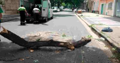 Se registraron ráfagas de hasta 59 km/h y hubo unos 60 reclamos al 103  por la tormenta en Rosario