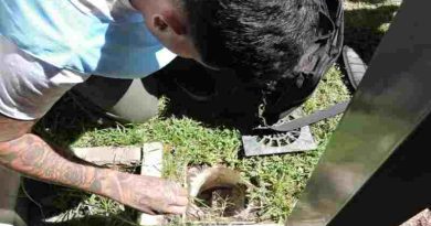 Dengue en Córdoba: Un monitoreo arrojó un alto riesgo de transmisión